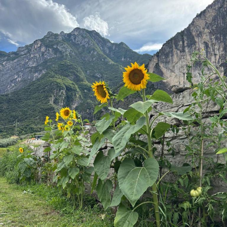 La Casa nella Vigna - Appartamento con 3 Camere da Letto - 34