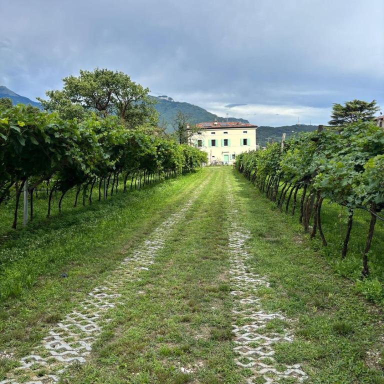 La Casa nella Vigna - Appartamento con 3 Camere da Letto - 35