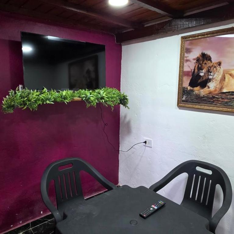 My Ideal Eldorado - One-Bedroom Apartment - 2