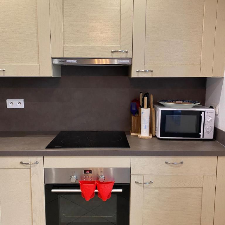 2 pièces cosy - à 150m du télécabine - Appartement 1 Chambre - 17