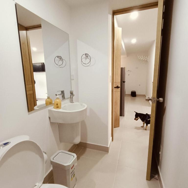 Aviva Sierra 1804 - Two-Bedroom Apartment - 14
