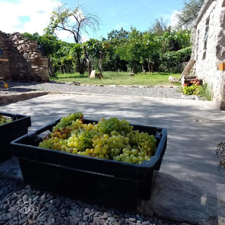 Finca Las Higueras - Chalet de 2 dormitorios - 43