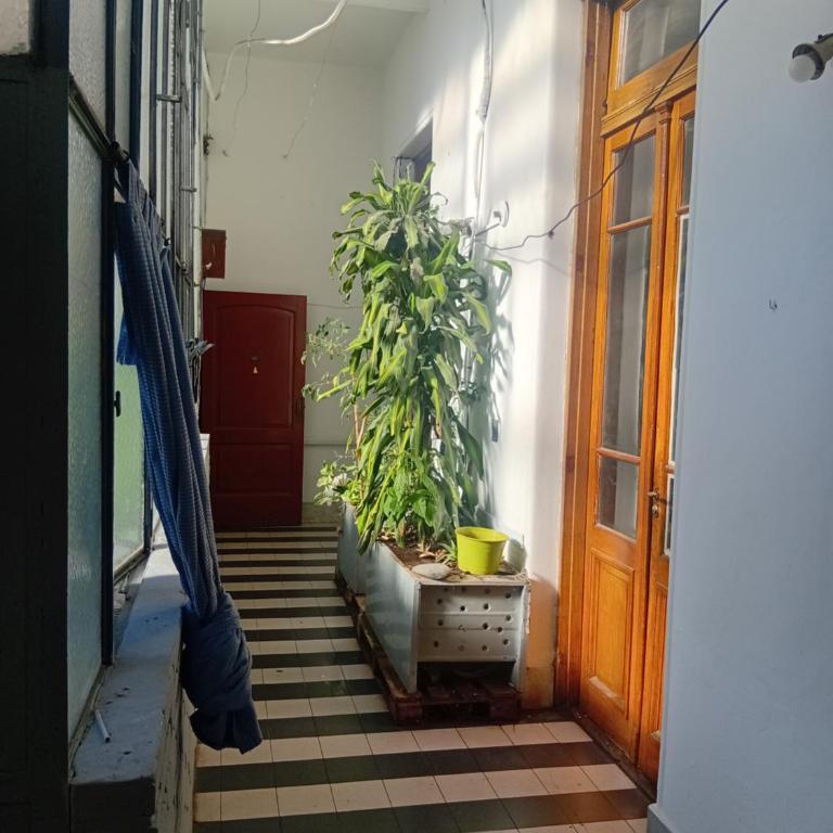 Buenos Aires Comfort - Apartamento de 3 dormitorios - 1