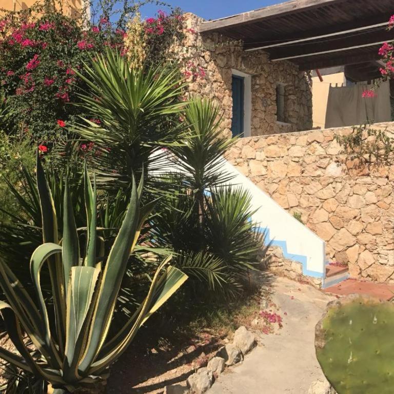 Borgo Acqua - Villa - 3