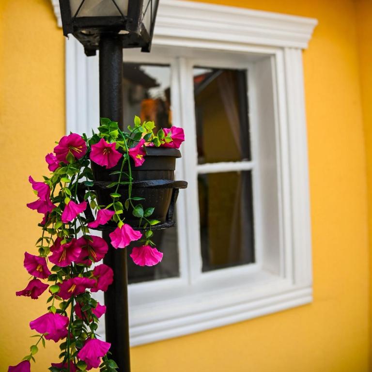 Blue House Čaršija OLD TOWN Free Parking - One-Bedroom Apartment - 8