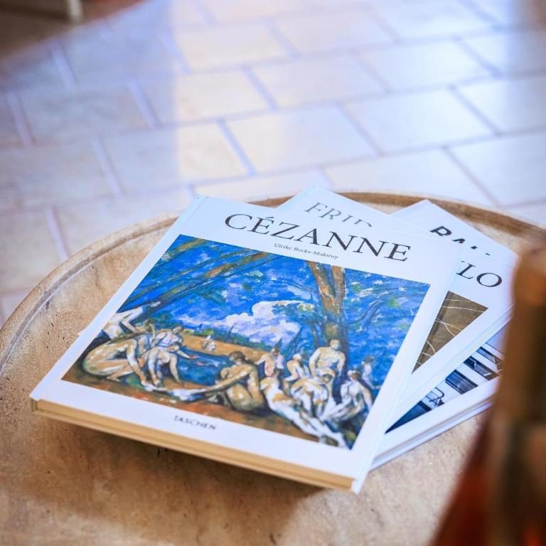 Apt Cezanne - Appartement Premier 1 Chambre - 3