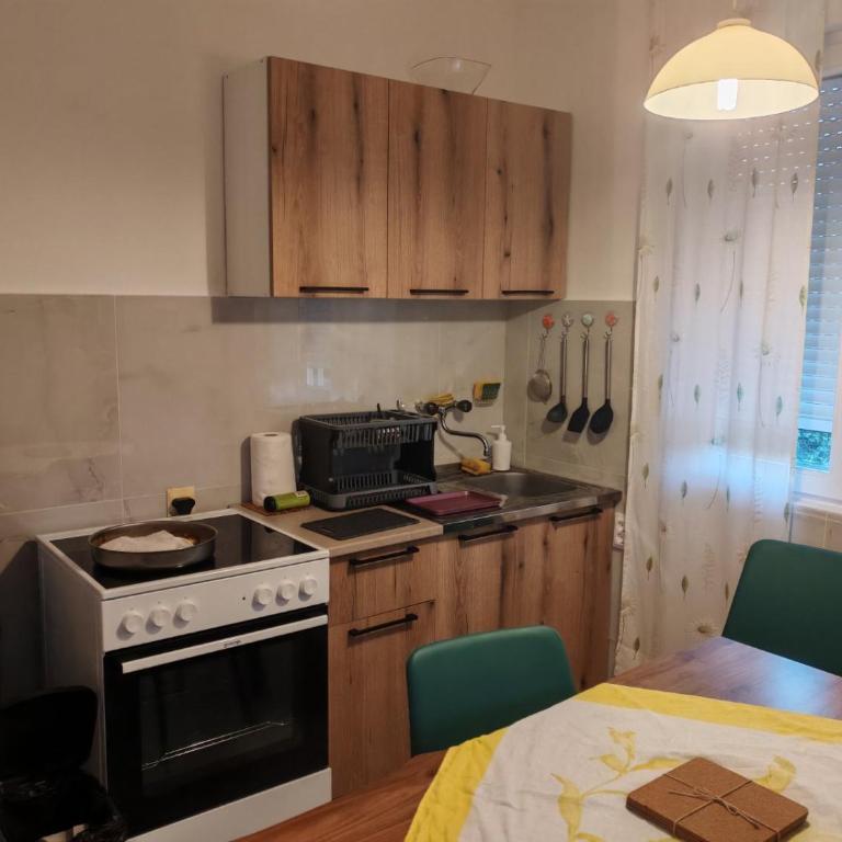 Lazarus Apartment - Apartman sa 2 Spavaće Sobe i Pogledom na Vrt - 16
