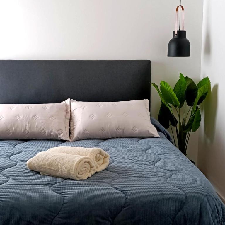 Hermoso Departamento en alquiler, Edificio Agora I, Villa Rosa - Apartamento de 1 dormitorio - 1