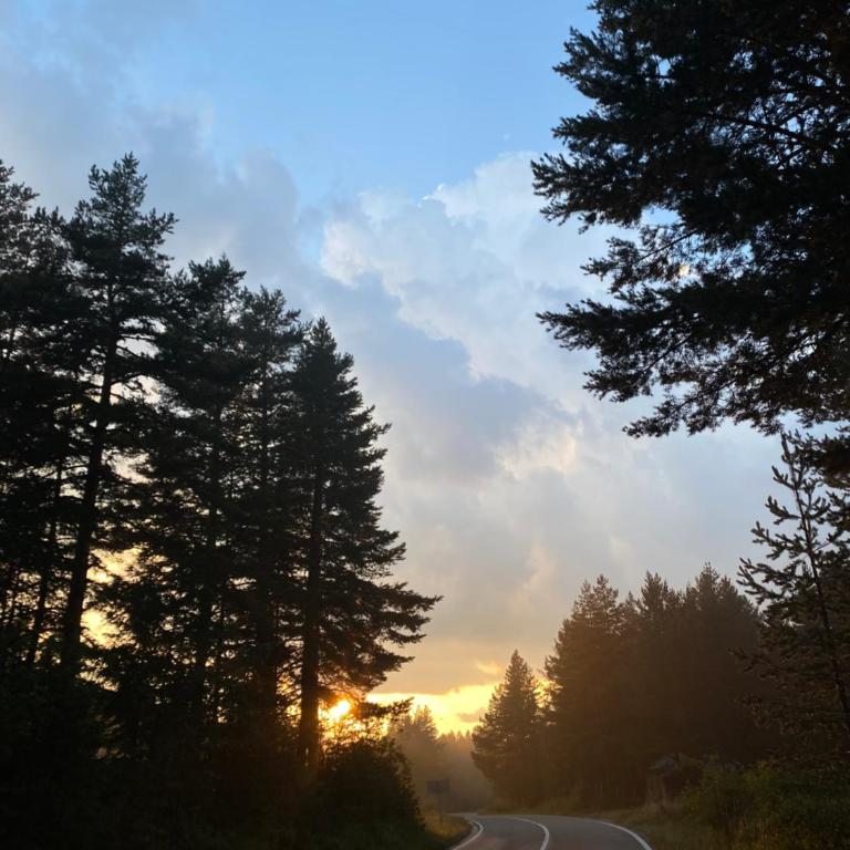 Durmitor Stay - One-Bedroom Apartment - 24