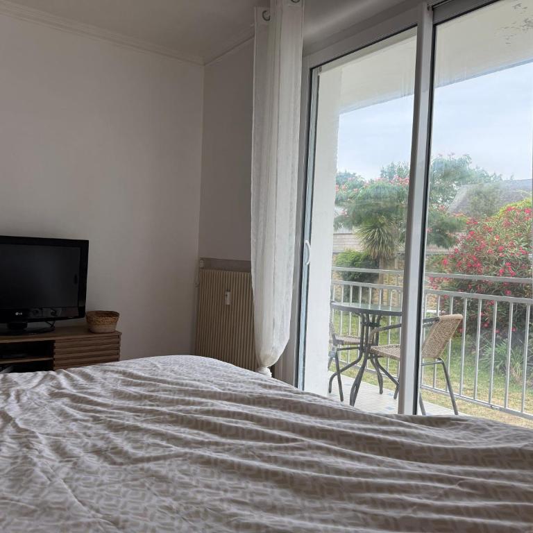 T2 de charme avec jardin à deux pas de Conleau - Apartamento de 1 dormitorio - 16