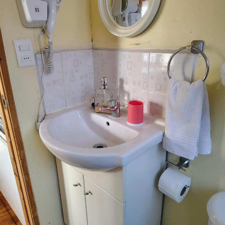 Agroturismo mapuweñimen - Cabaña de 1 dormitorio - 4