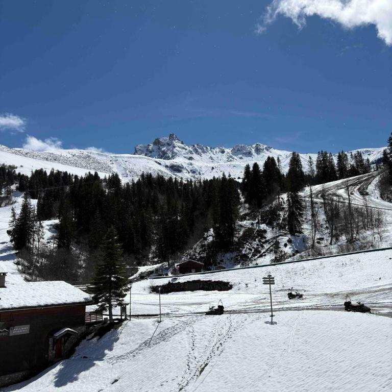 Le Grand Refuge de Léonor - Appartamento con 2 Camere da Letto e con Vista Montagna - 19