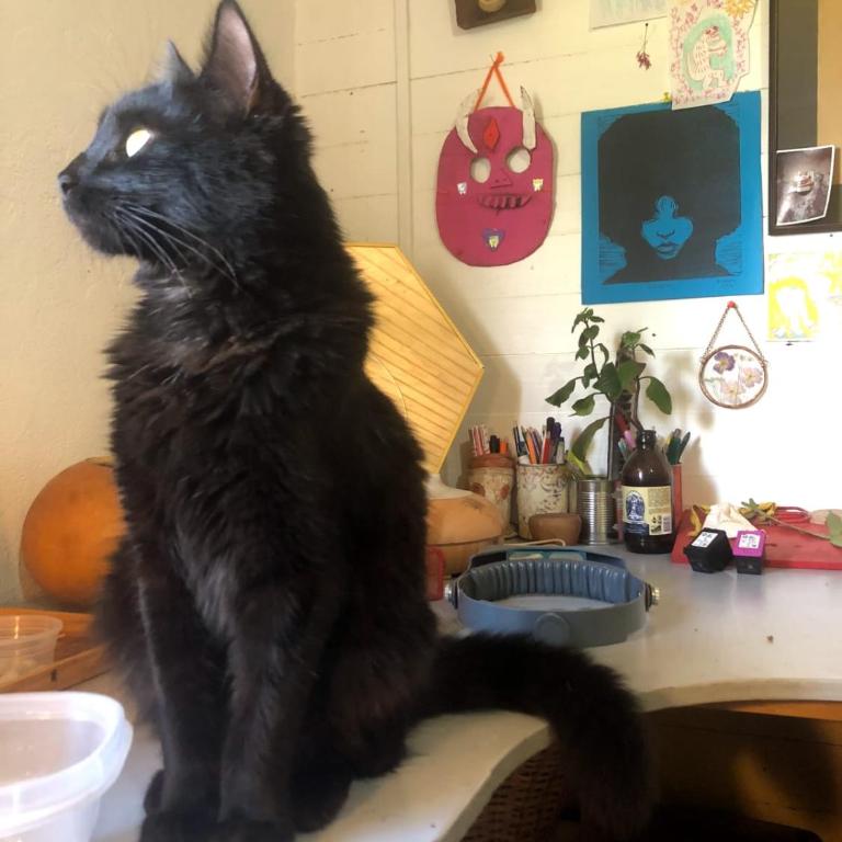 Casona Diabla - Apartamento de 3 dormitorios - 7