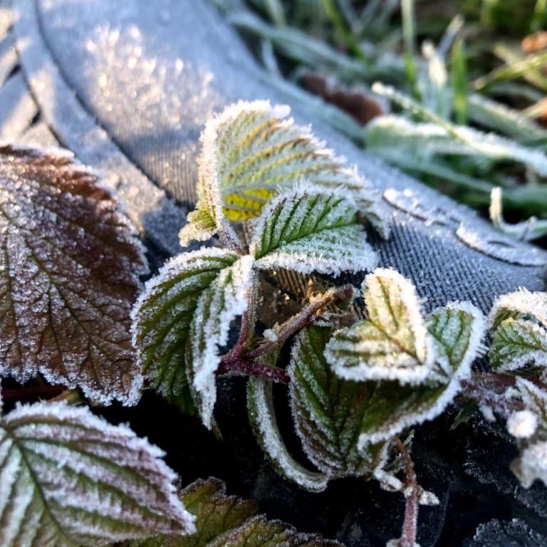 Casona Diabla - Apartamento de 3 dormitorios - 11