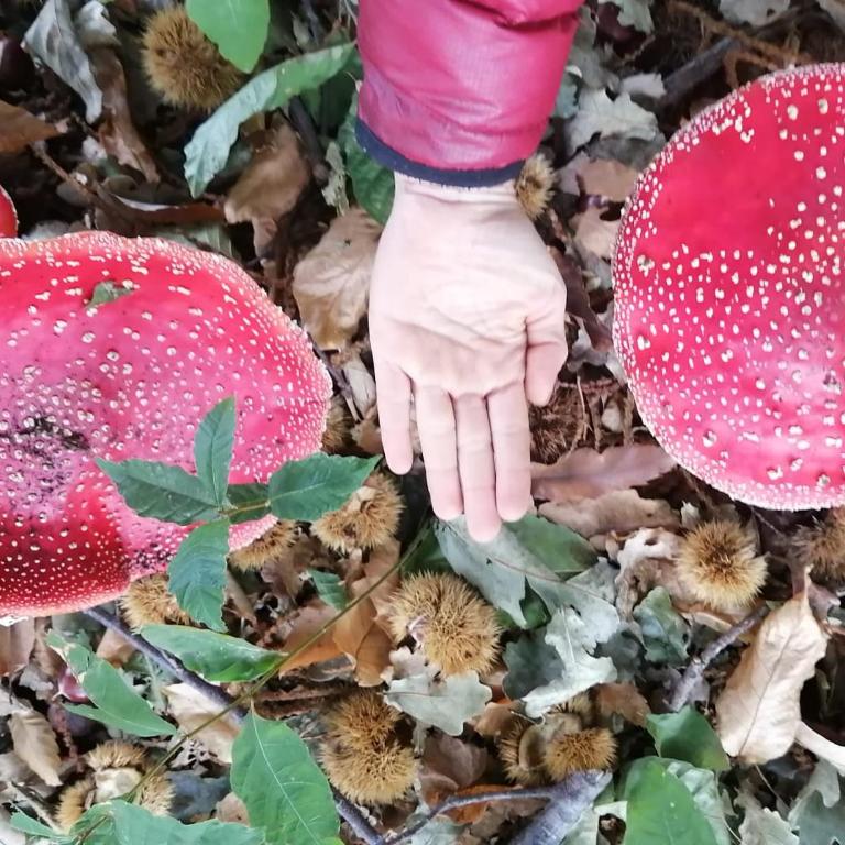 Casona Diabla - Apartamento de 3 dormitorios - 14