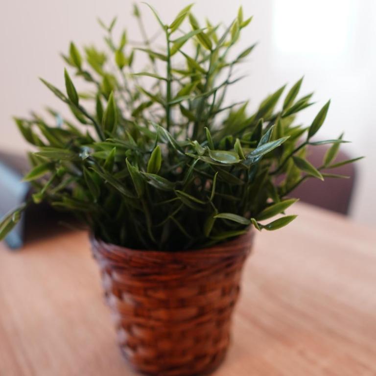 Nomada Apartment - Apartman sa 1 Spavaćom Sobom - 12