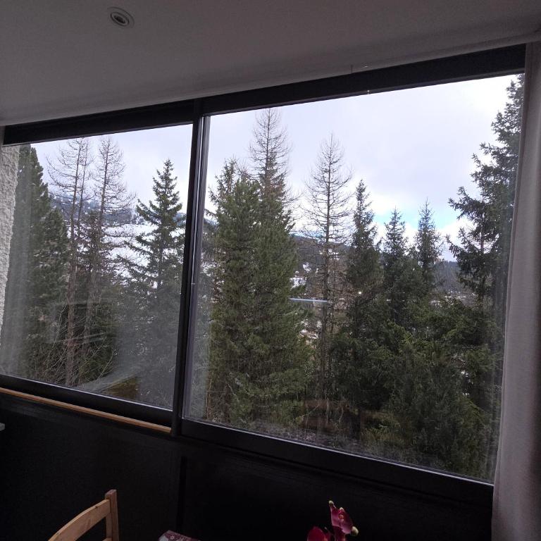 Studio cosy proche des pistes - Appartamento con 1 Camera da Letto - 7