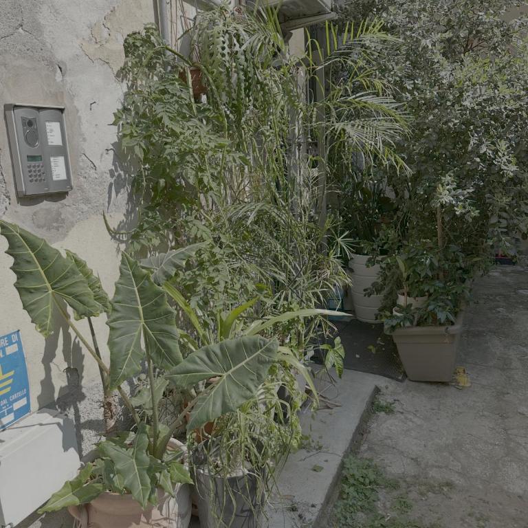 next to bocconi - Appartamento con 1 Camera da Letto - 16