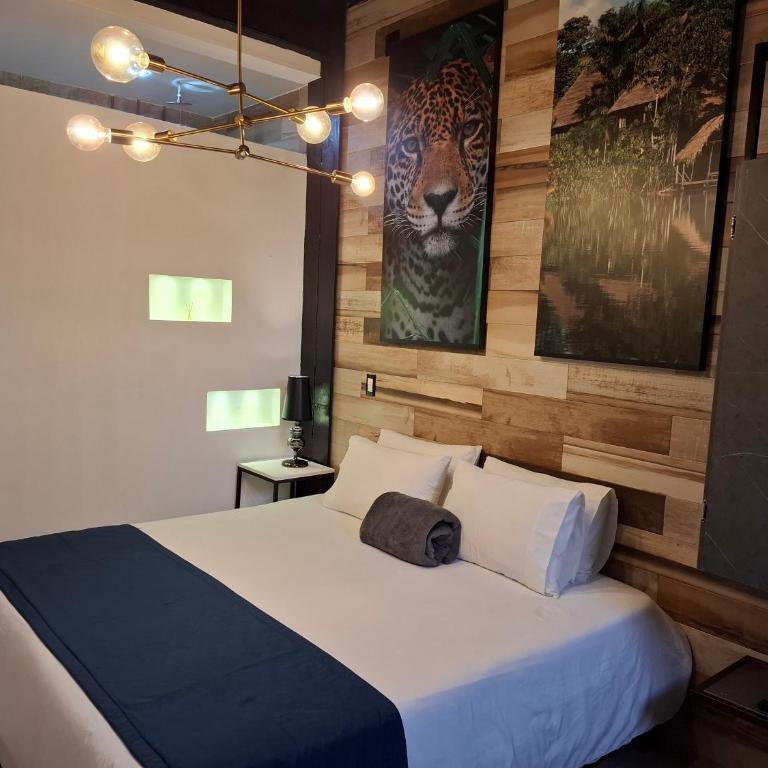 Stylish Stay near Lleras Park - Deluxe Suite with Spa Bath - 16