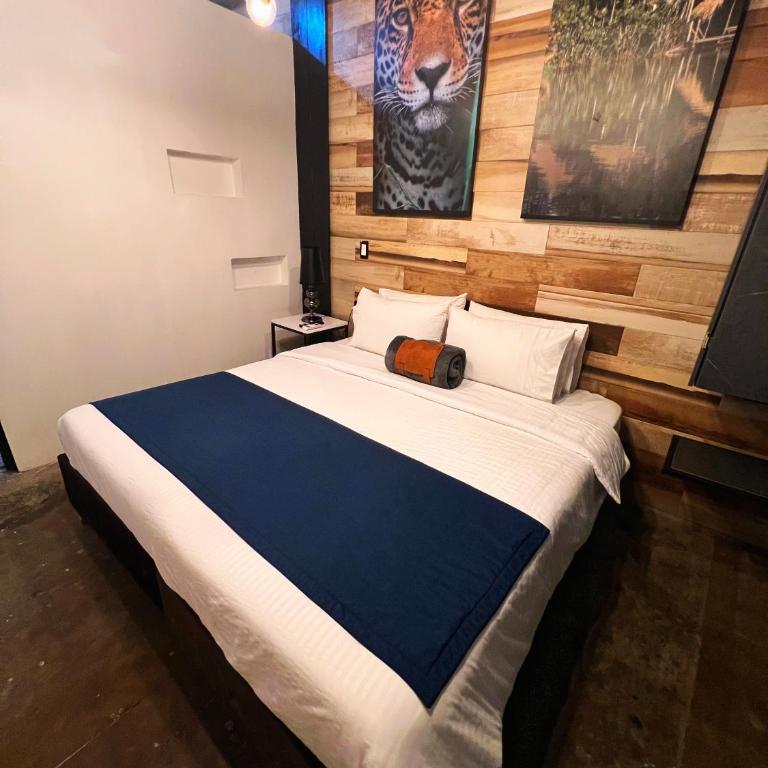Stylish Stay near Lleras Park - Deluxe Suite with Spa Bath - 52
