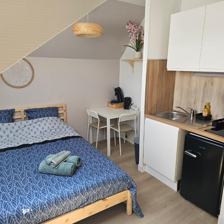 Joli studio plein centre proche Gare Orléans - Apartment mit 1 Schlafzimmer - 1