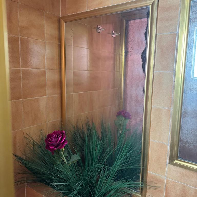 Pichu Home Alamos - Three-Bedroom Apartment - 10