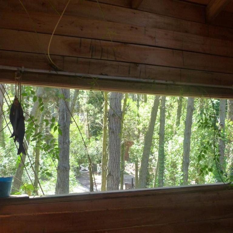 Cabaña Kultrum Mar Azul - One-Bedroom Chalet - 2