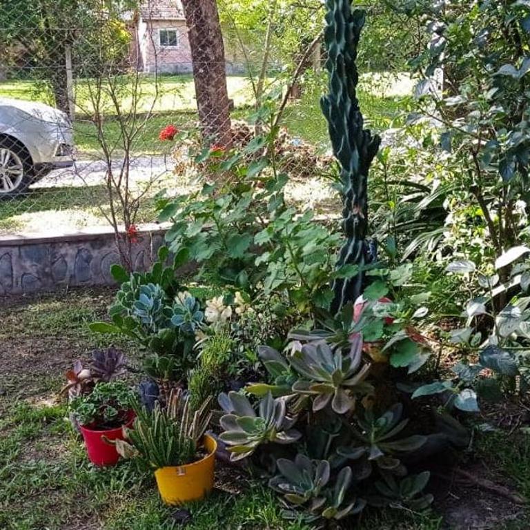 La bonita II - Casa de 3 dormitorios - 9