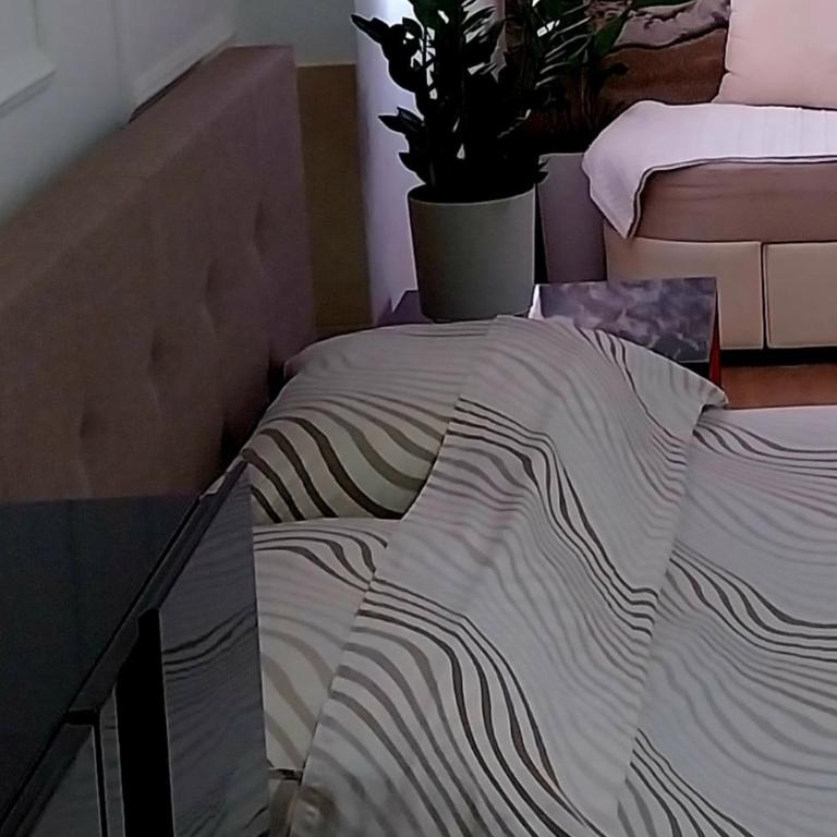 Apartment Tara - Studio Apartment - 5