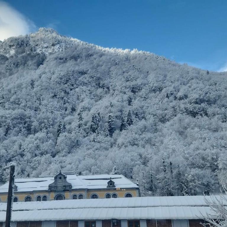 Centre ville Appartement 4 personnes - One-Bedroom Apartment - 6