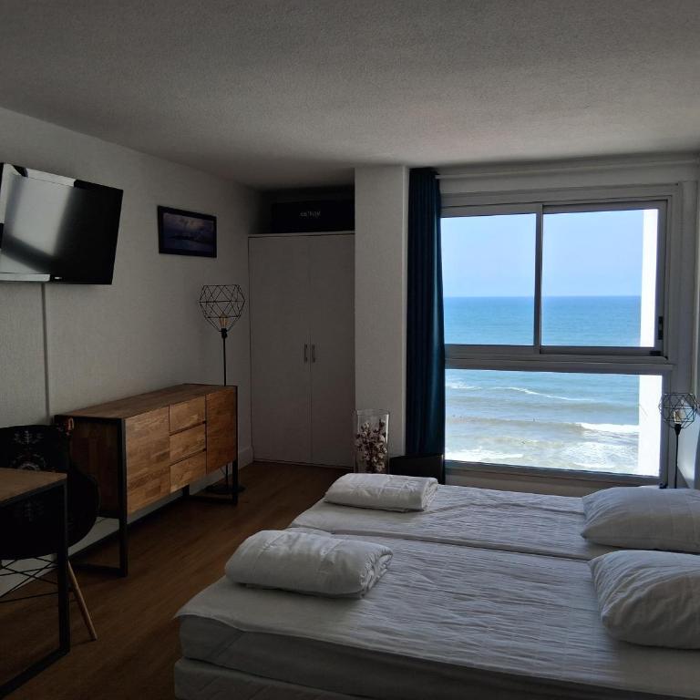 Studio moderne avec piscine, vue panoramique Biarritz - FR-1-239-1143 - Apartamento de 1 dormitorio - 3