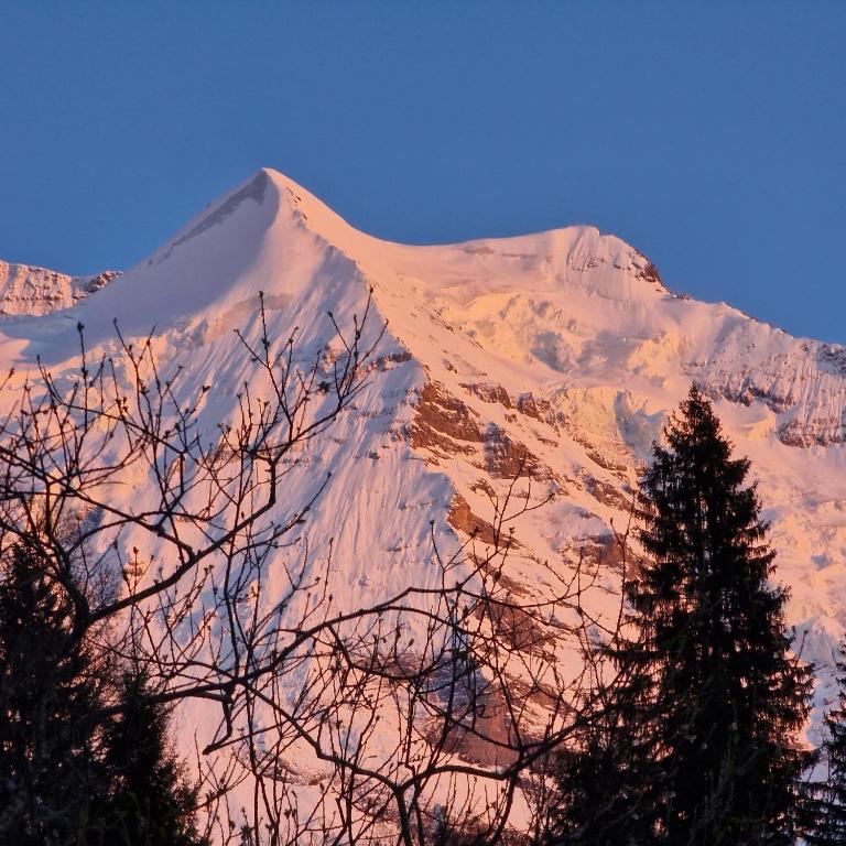 Chalet Viola - Verena's Loft - Apartment mit Blick auf die Berge - 18