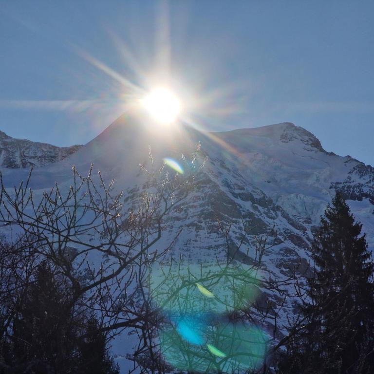 Chalet Viola - Verena's Loft - Apartment mit Blick auf die Berge - 19