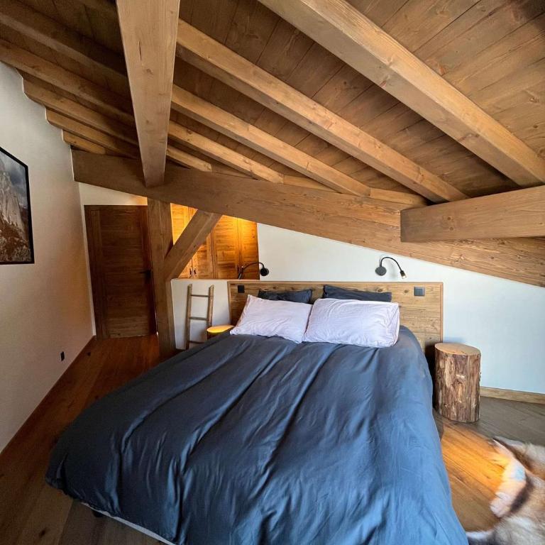 Les Hirondelles de Bellevue - spacieux logement avec cheminée - Appartement 3 Chambres - 19
