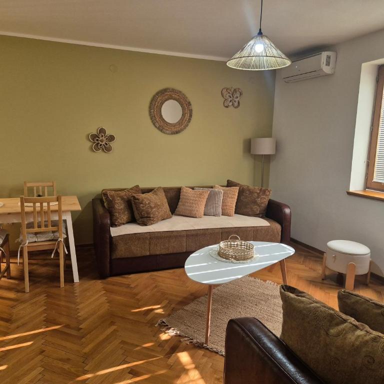 Toplica - Apartman sa 1 Spavaćom Sobom - 3