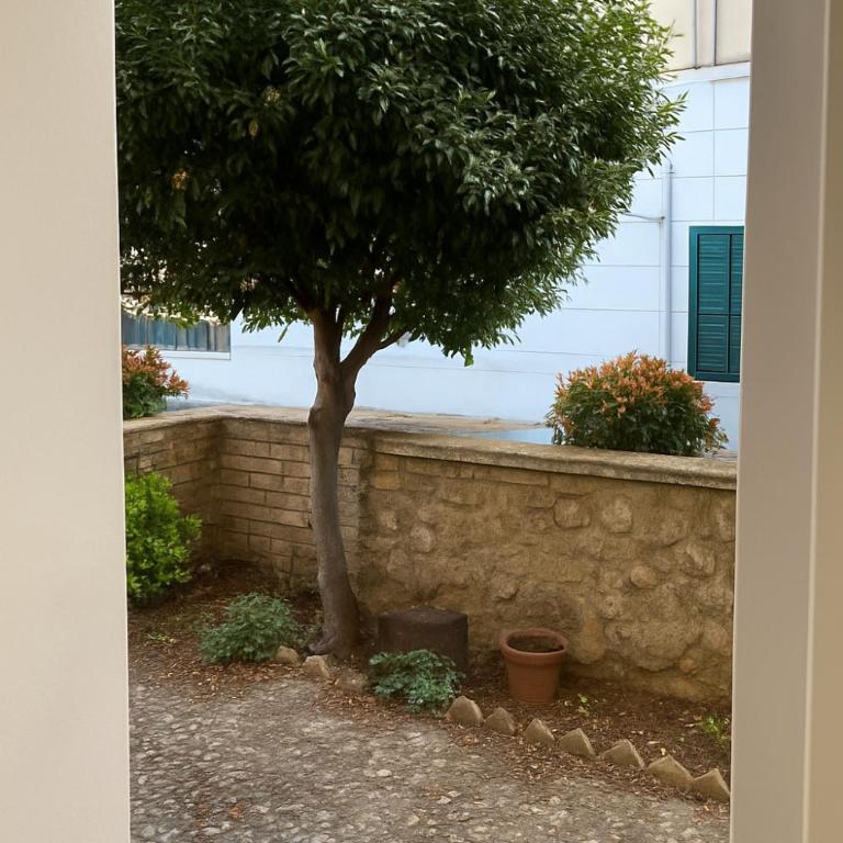 Casetta Beatrice Cozy Flat near Vatican - Apartment mit 1 Schlafzimmer - 11