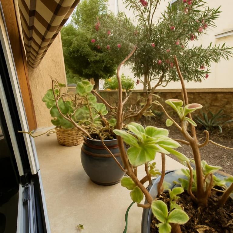 Casetta Beatrice Cozy Flat near Vatican - Apartment mit 1 Schlafzimmer - 10