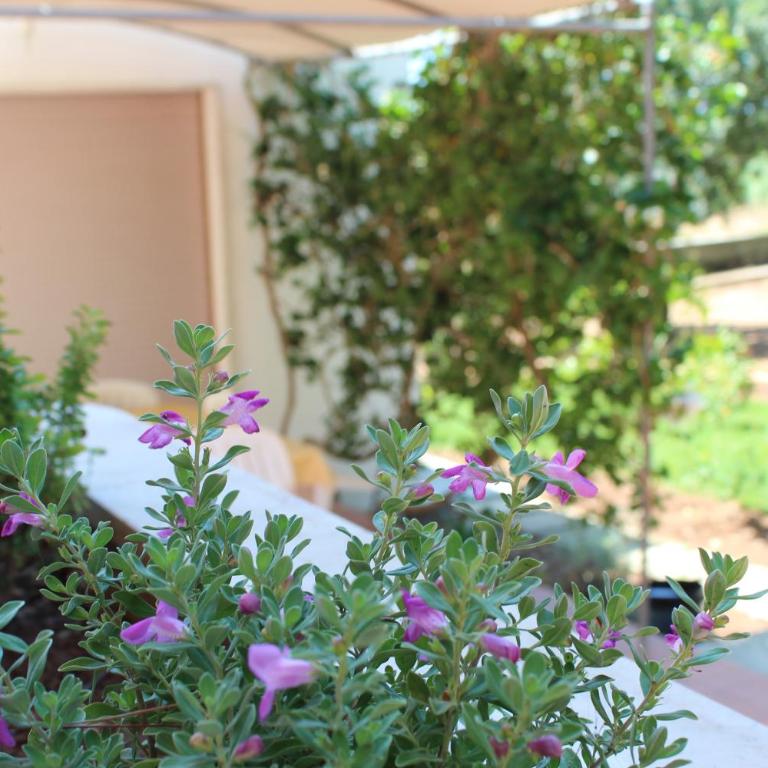 Villeriunite - Villa Mimosa - Two-Bedroom House - 33