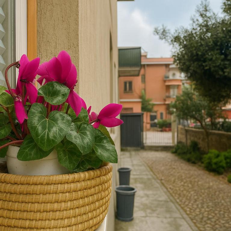 Casetta Beatrice Cozy Flat near Vatican - Apartment mit 1 Schlafzimmer - 12