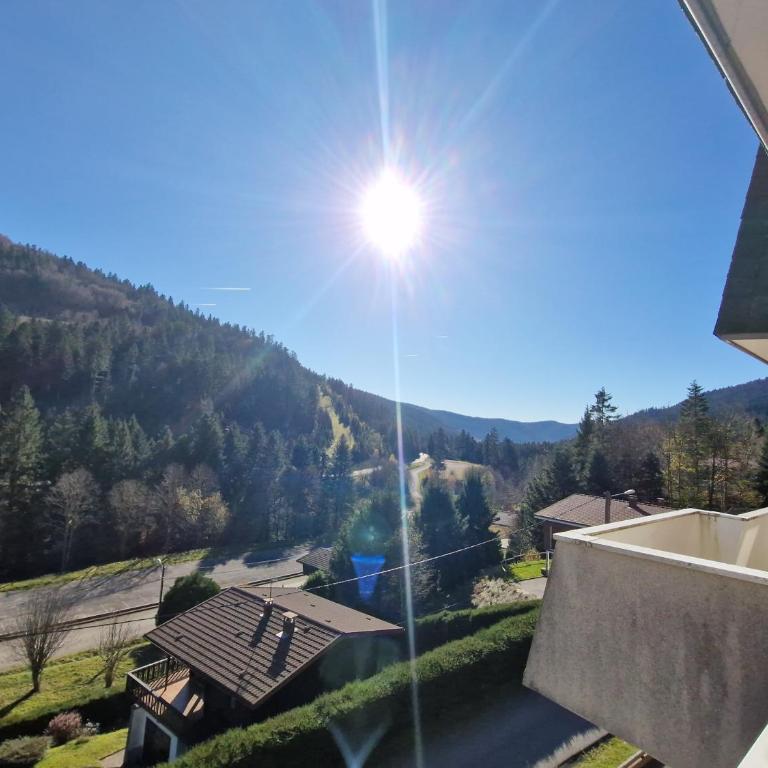 La Bresse Nature and Glisse - One-Bedroom Apartment - 2