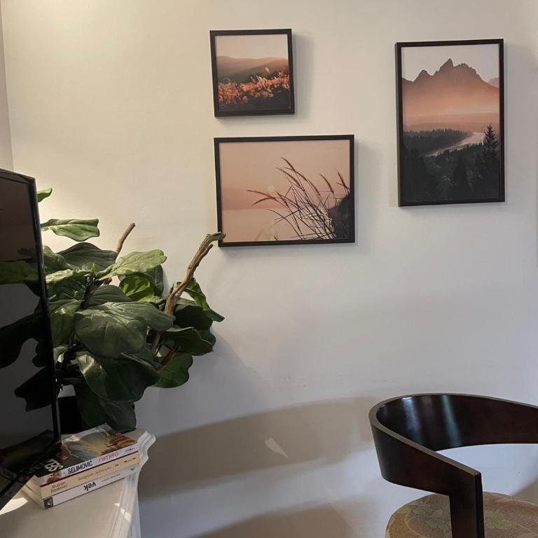 Kućerak na Kopu - Vacation Home - 11