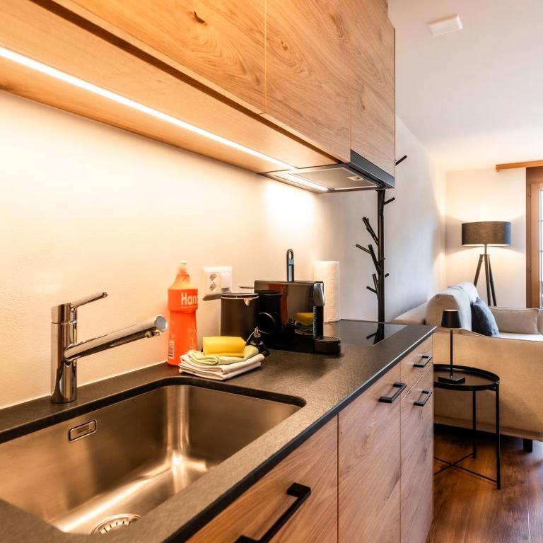 Studio Nova, Zermatt - Apartamento de 1 dormitorio - 5