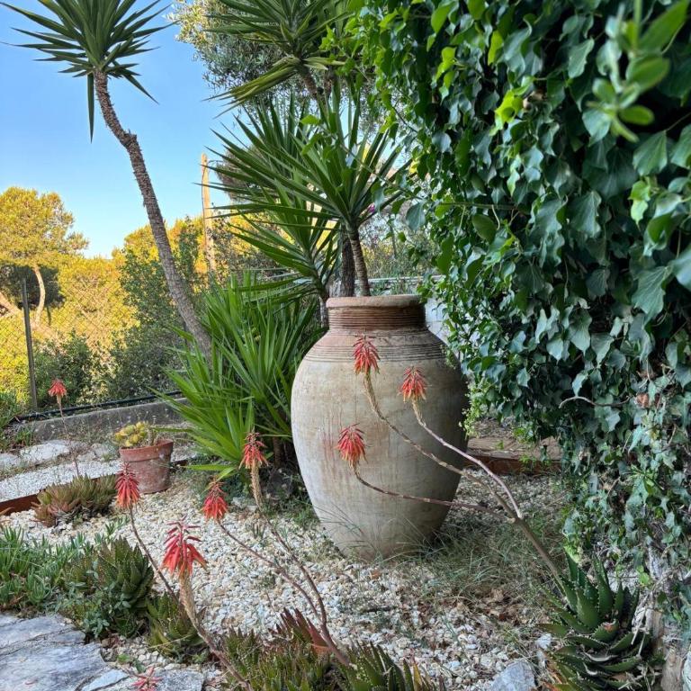 THE GREEN OASIS breathtaking sea views, swimming pool, privacy in Villa Liliana - Villa de 3 dormitorios - 27