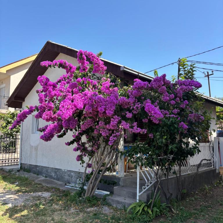 Bloom Home Bar - Kuća sa 2 Spavaće Sobe - 17