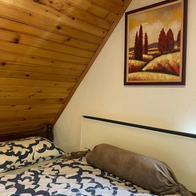 Kućerak na Kopu - Vacation Home - 44