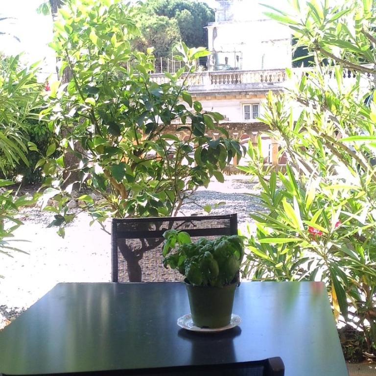 Villa du Chateau - Appartement avec Terrasse - 19