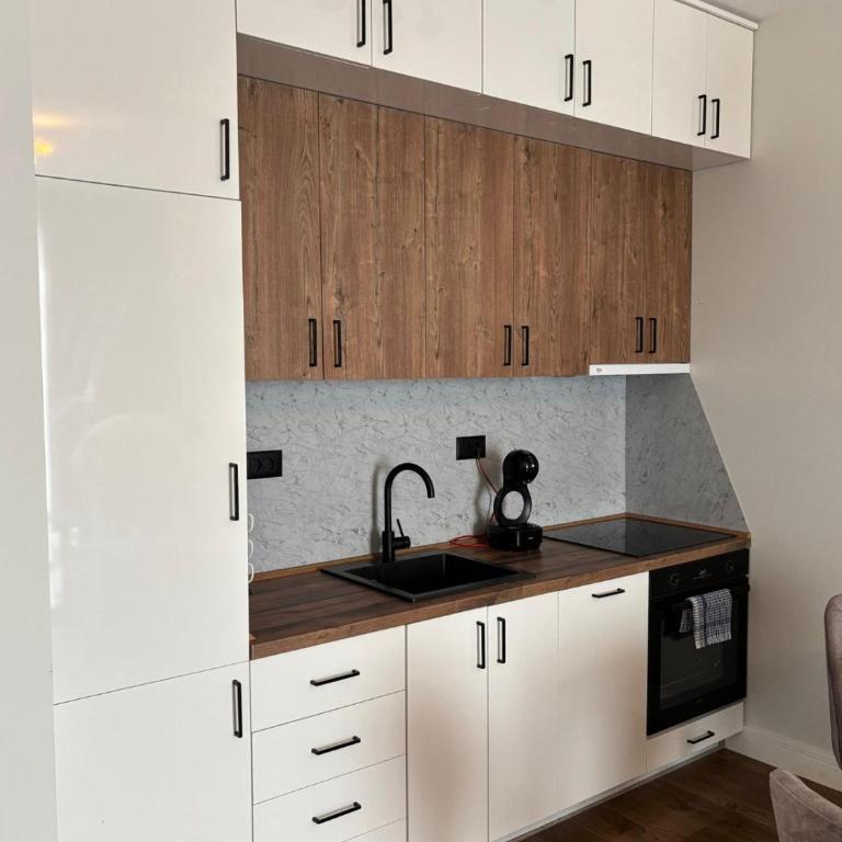 Apartman Milica - Apartman sa 1 Spavaćom Sobom - 4