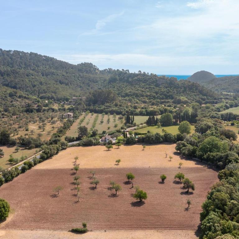 L'Hort de Son Grua - Casa - 40