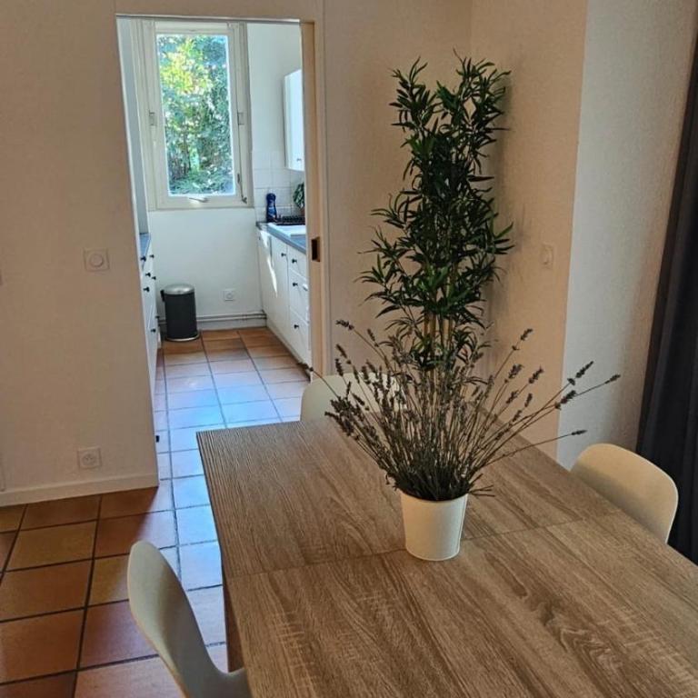 Les Platanes - Appartement 2 Chambres - 9