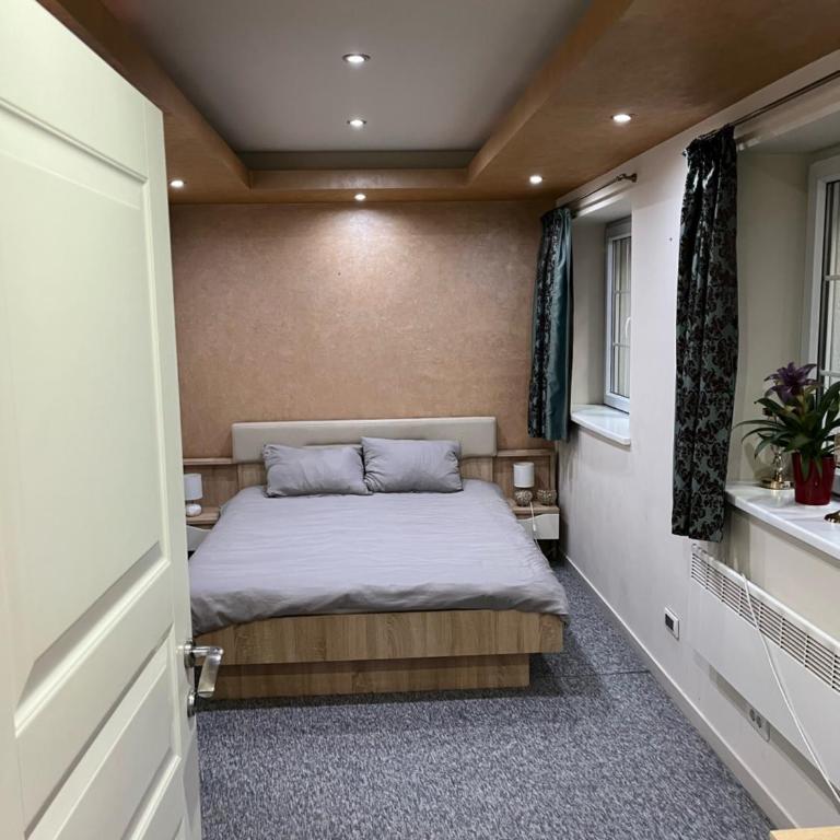 Vibe Urban Suite - Apartman sa Terasom - 5